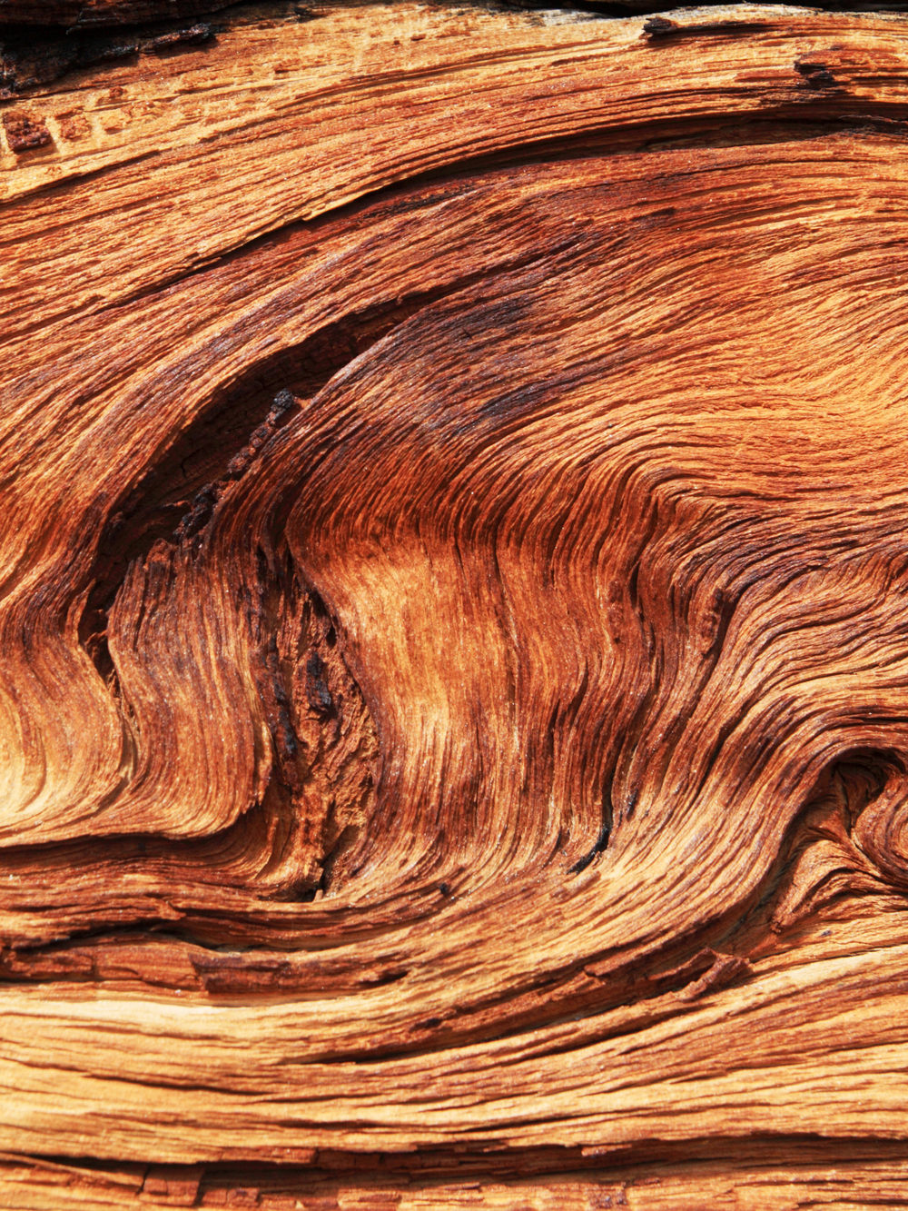 Wood Grain