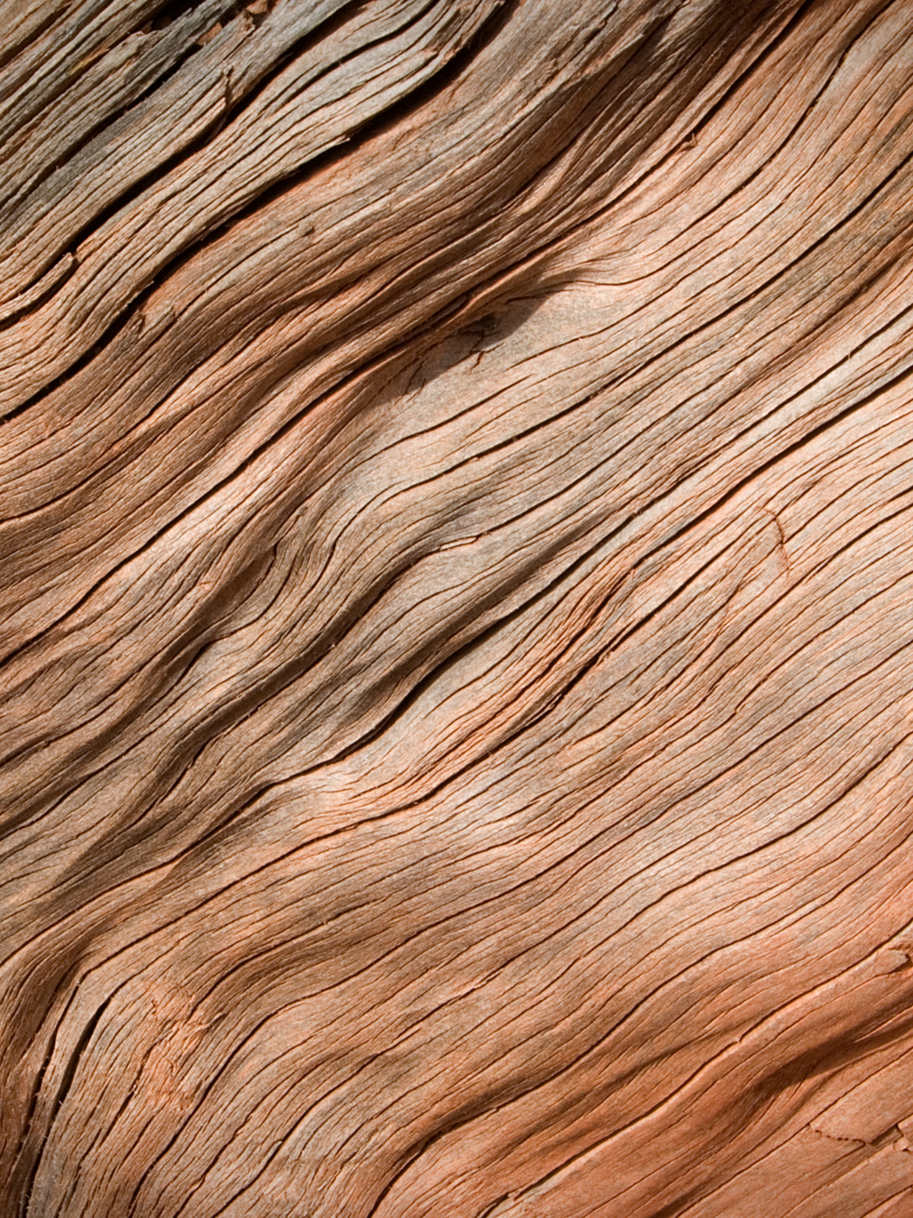 Wood Grain